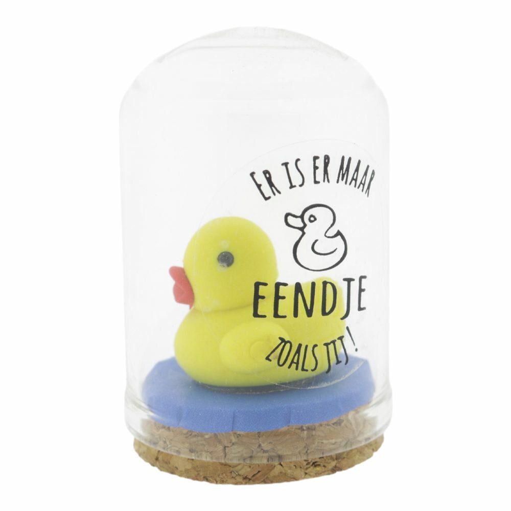 Stolpje Eend "Er is er maar EENDJE zoals jij!"