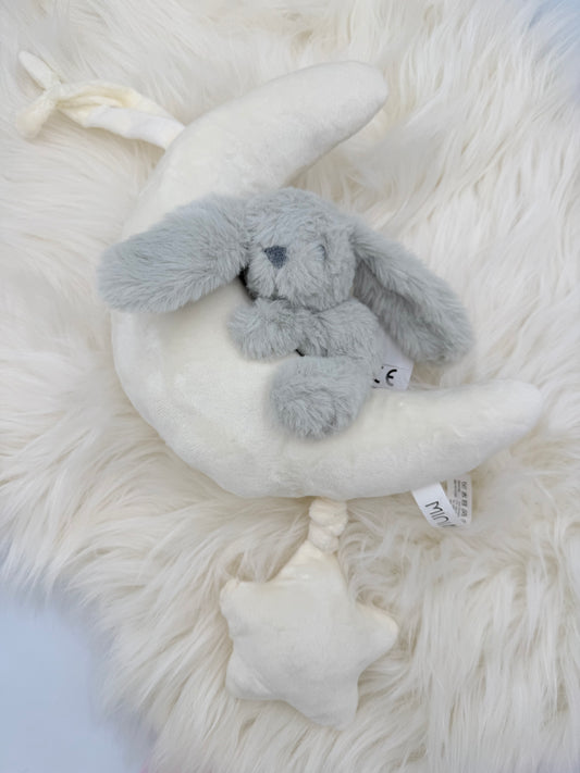 Konijn op de maan muzikale knuffel mint