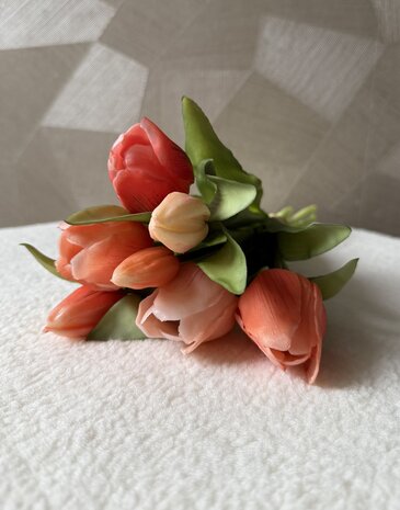 Tulpen oranje