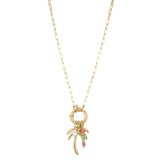 Stainless steel ketting goud met palmboom